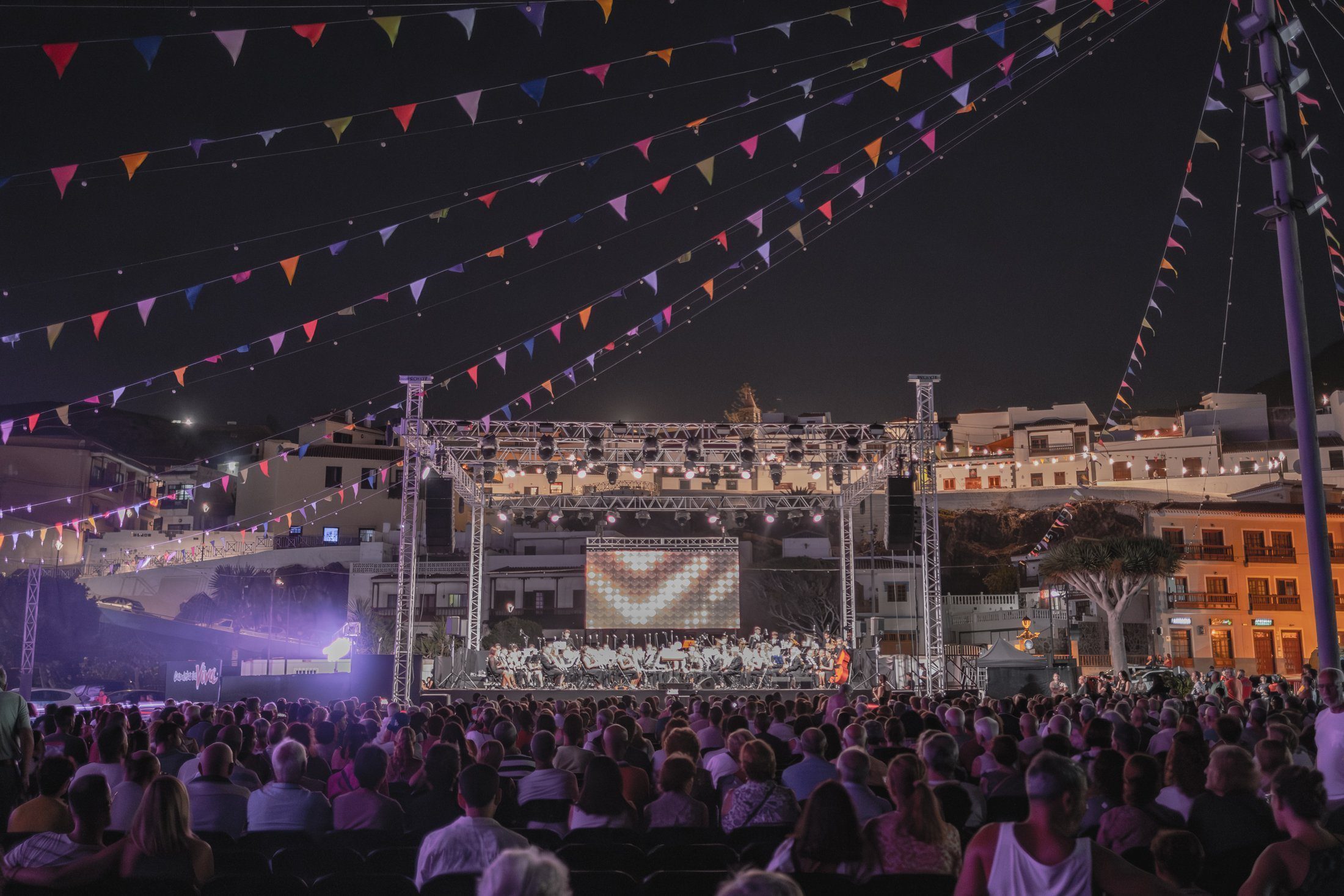 The Flying Flip Flop--3