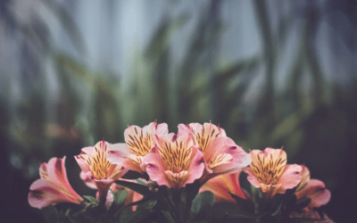 La séptima y seguimos.